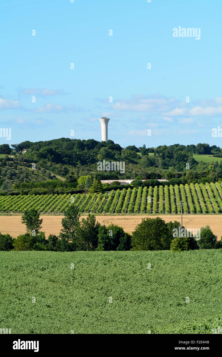 Paysage avec château d'eau rangées de vignes et de champs de blé en Saint Thomas de Conac, Charentes-Maritime, France Banque D'Images