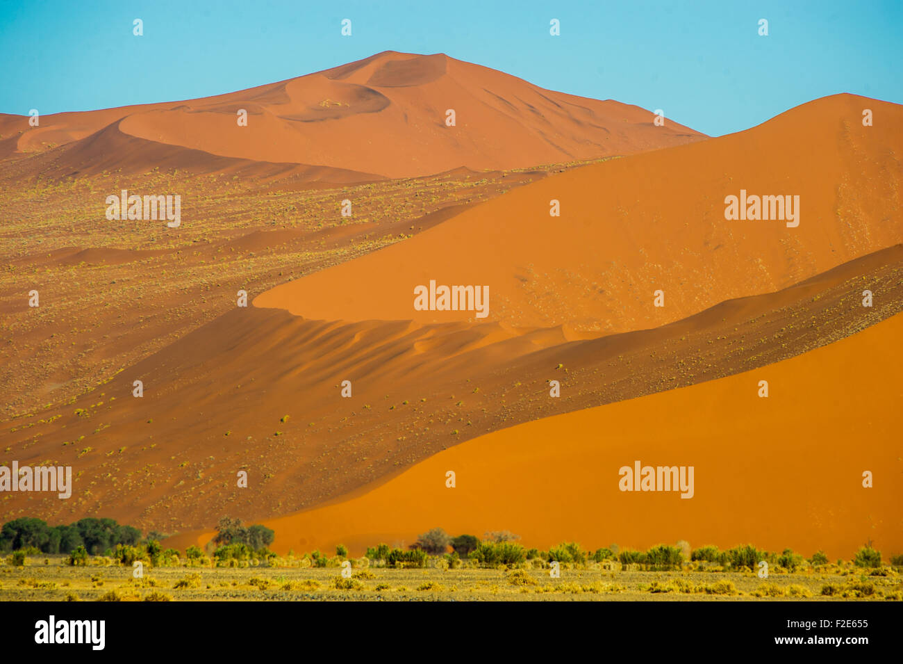 Désert de dunes de Sossusvlei dans massive, Namibie, Afrique Banque D'Images