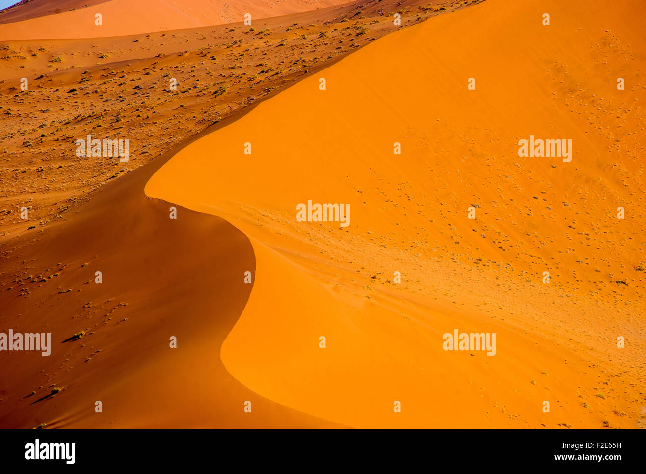 Désert de dunes de Sossusvlei dans massive, Namibie, Afrique Banque D'Images