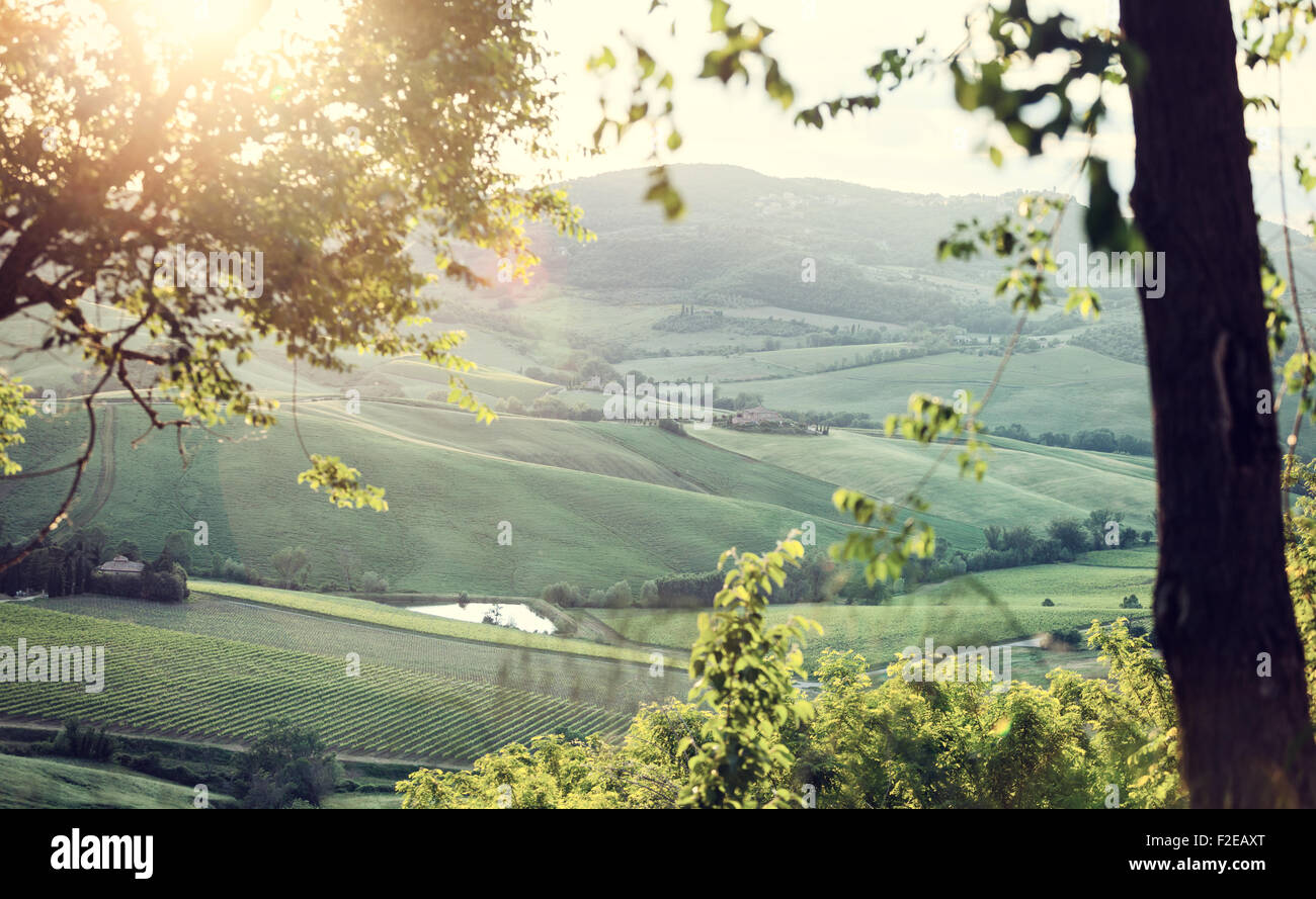 Paysage typique de la Toscane collines avec lens flare Banque D'Images
