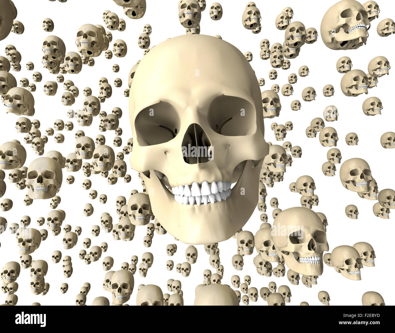 Withe scull isolé sur fond sombre avec chemin de détourage. Banque D'Images