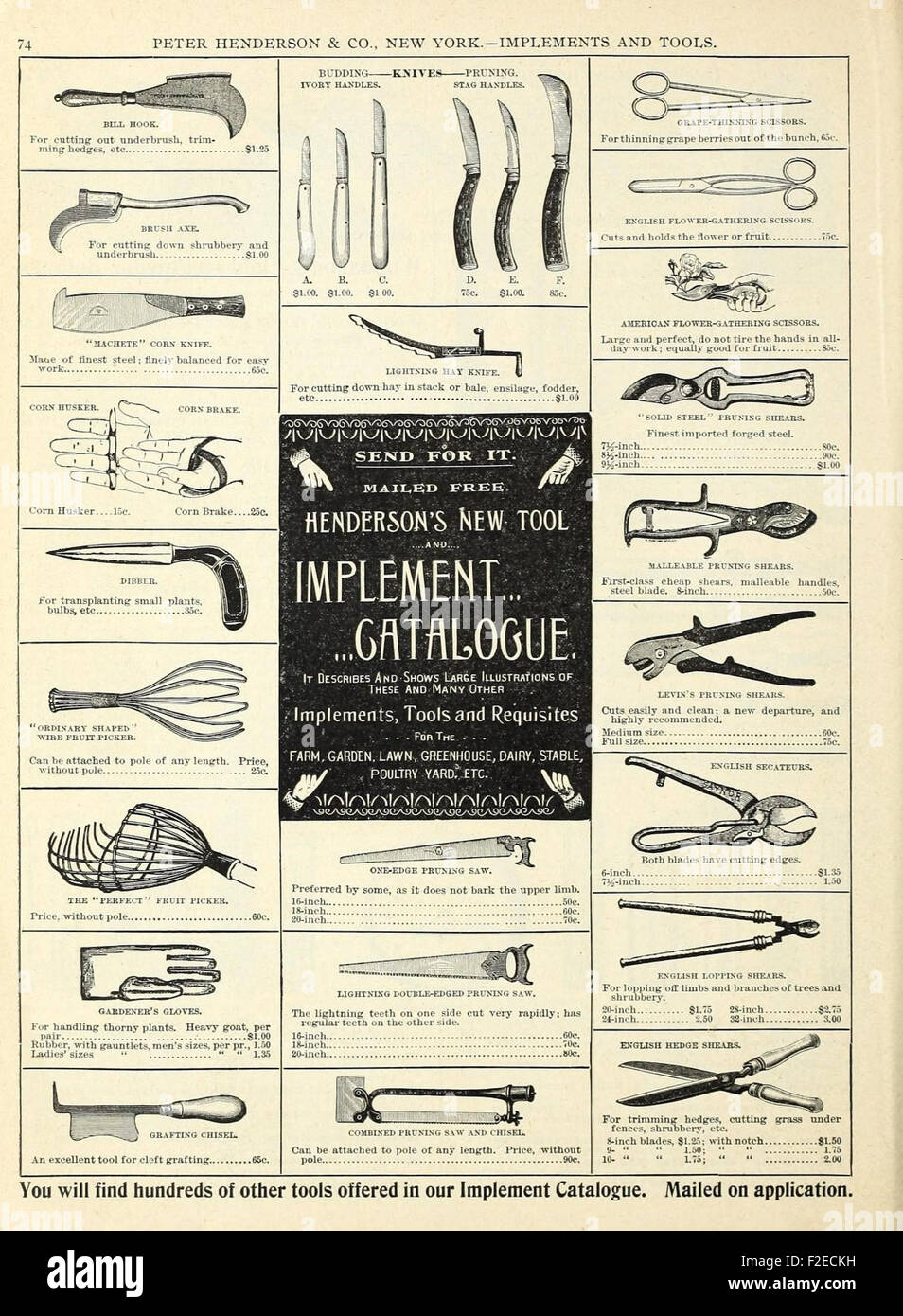 Catalogue de bulbes d'automne Banque D'Images