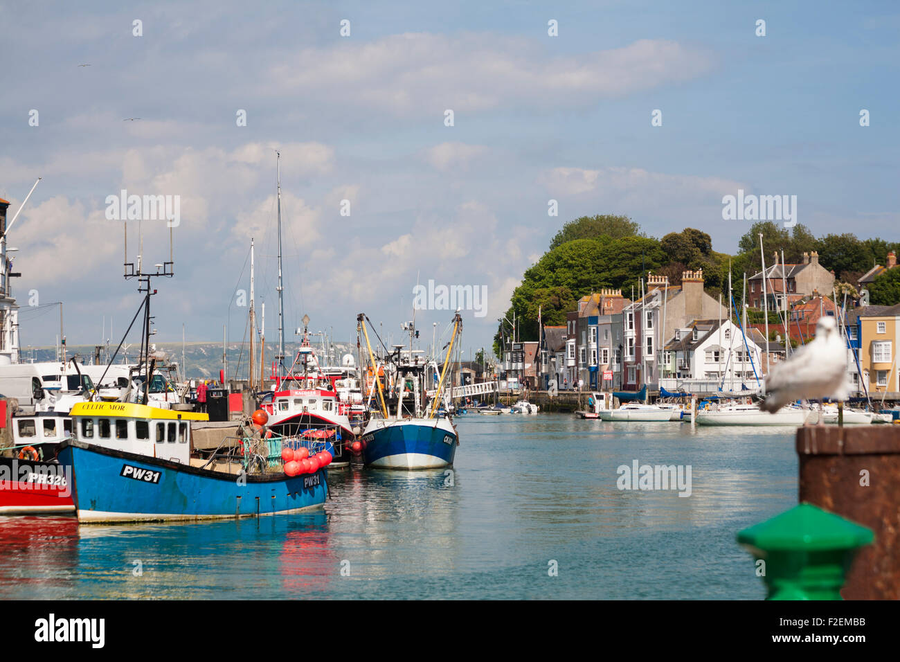Des bateaux amarrés le long du port de Weymouth, au quai de Weymouth, à Weymouth, au Dorset, au Royaume-Uni, en juin Banque D'Images
