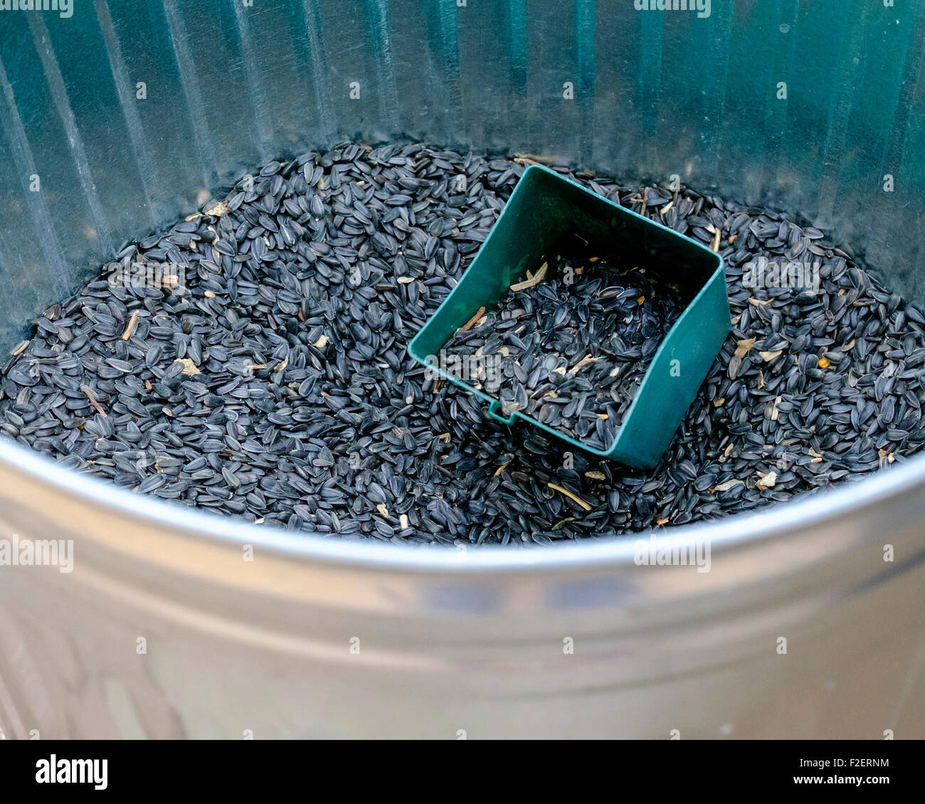 Un bac rempli de graines de tournesol, montrant un scoop. Une des graines  pour nourrir les oiseaux sauvages Photo Stock - Alamy
