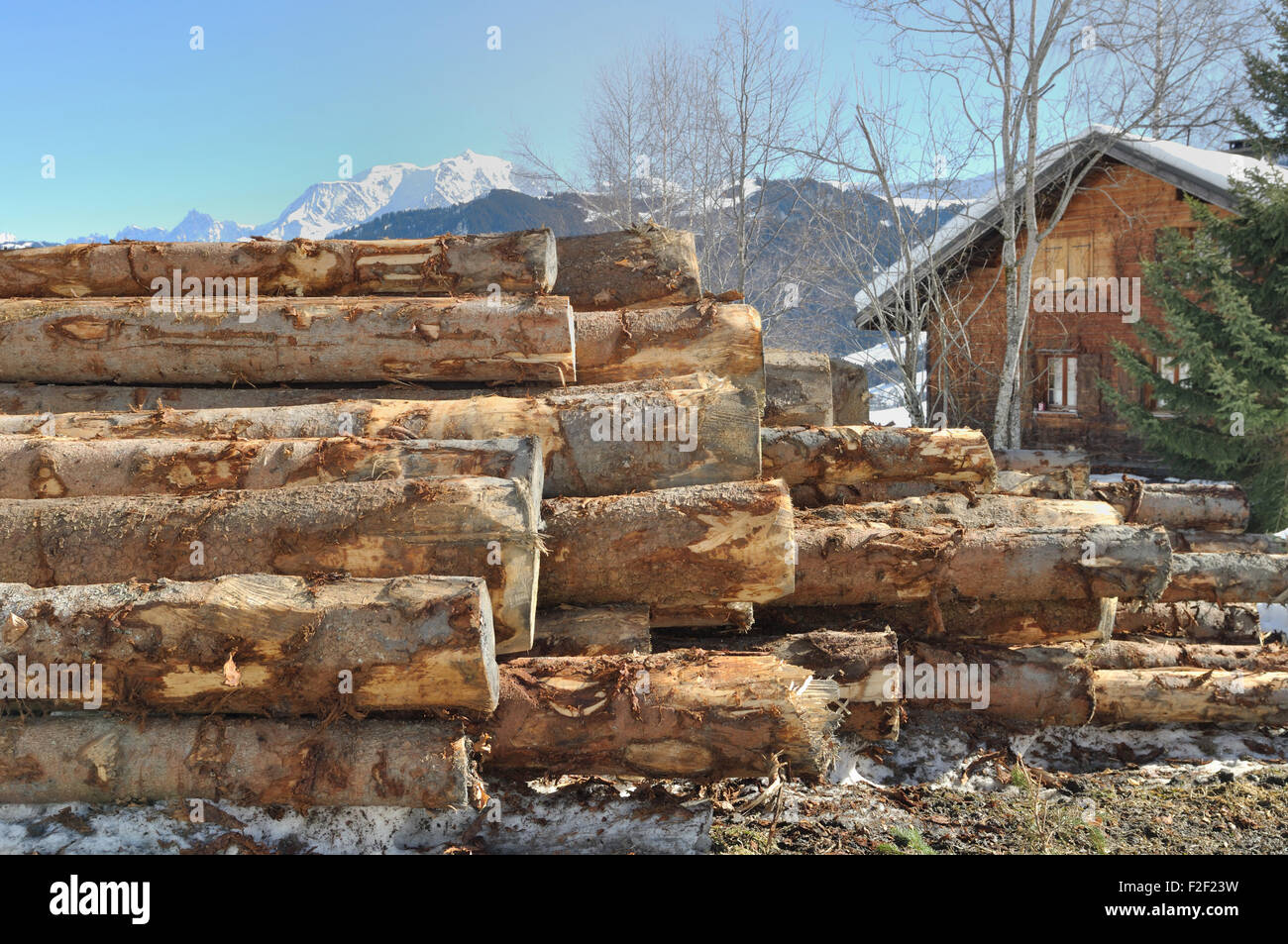 Grumes de pin devant la montagne dans un chalet en bois Banque D'Images