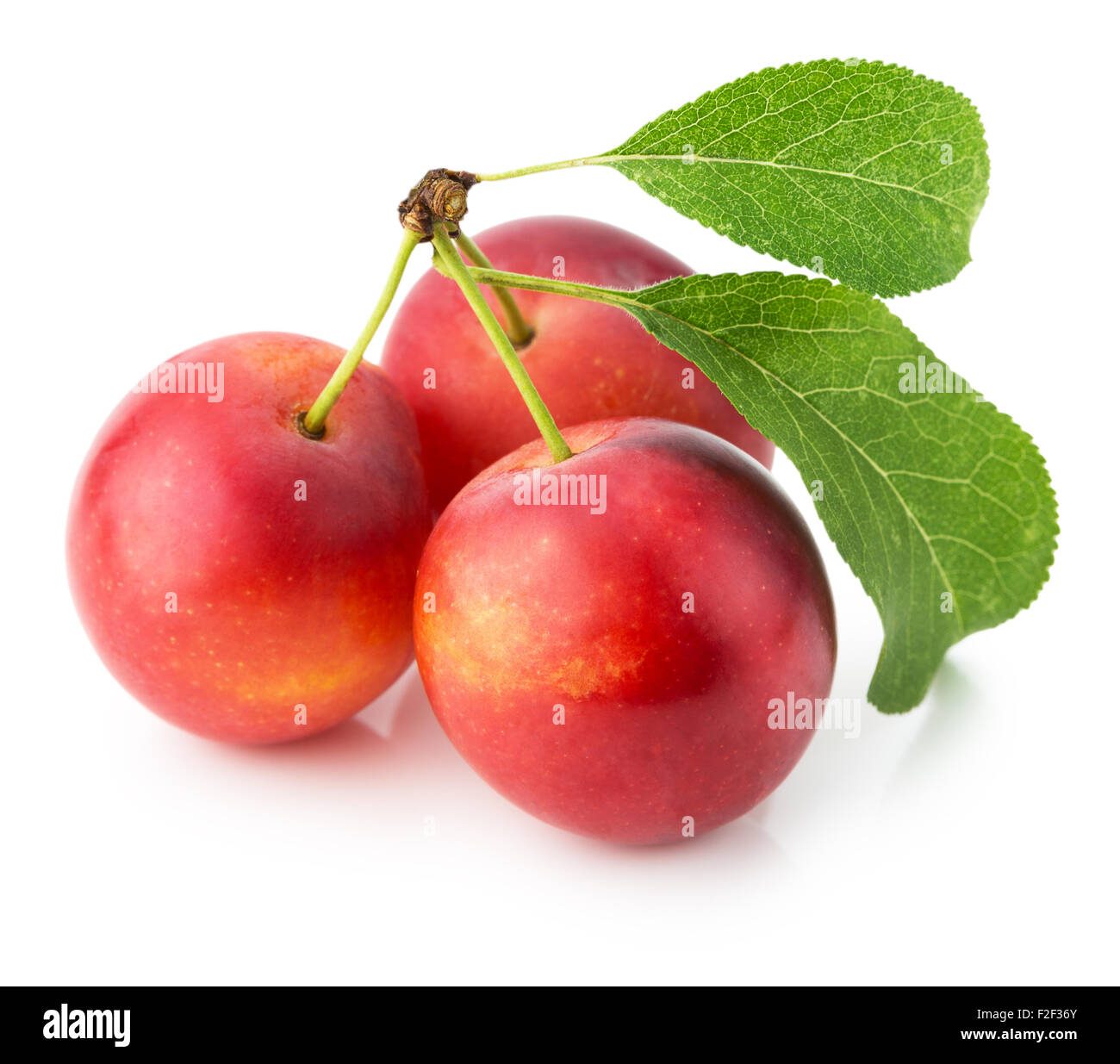 Les prunes de cerise rouge isolé sur fond blanc. Banque D'Images
