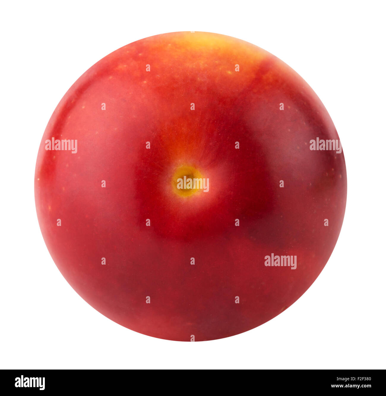 Cherry Plum rouge isolé sur fond blanc. Banque D'Images