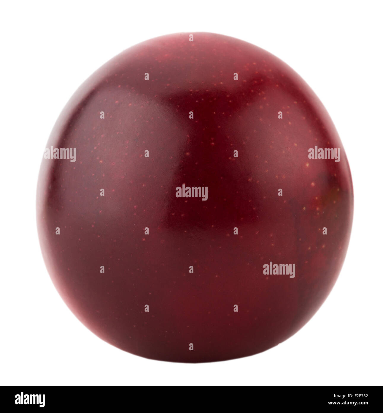 Cherry Plum rouge isolé sur fond blanc. Banque D'Images