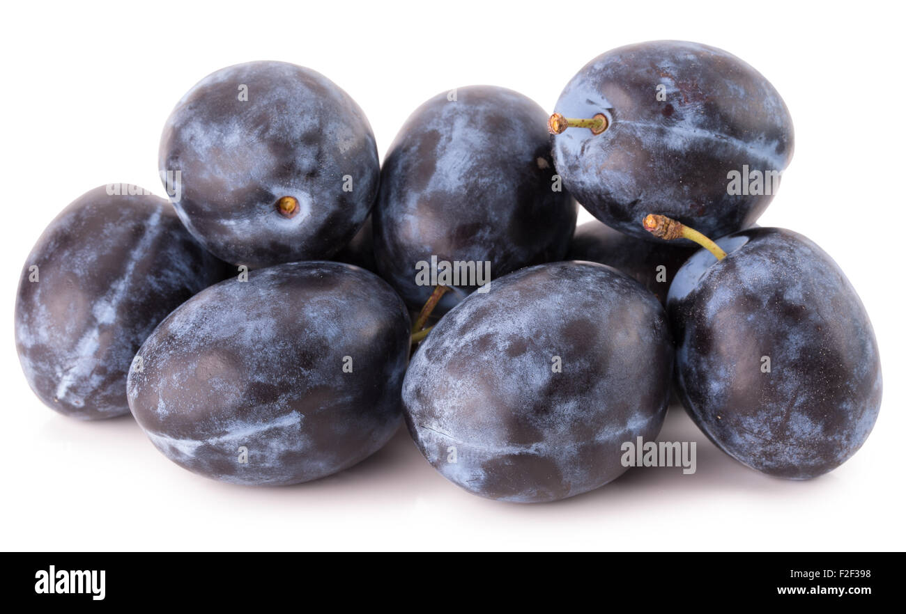Les prunes violettes isolé sur le fond blanc. Banque D'Images
