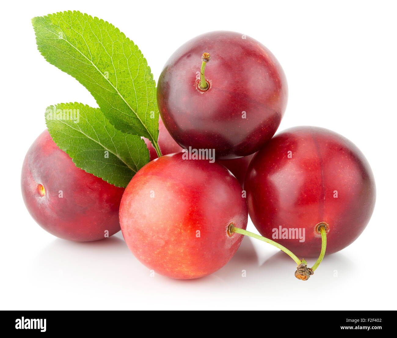 Les prunes de cerise rouge isolé sur fond blanc. Banque D'Images