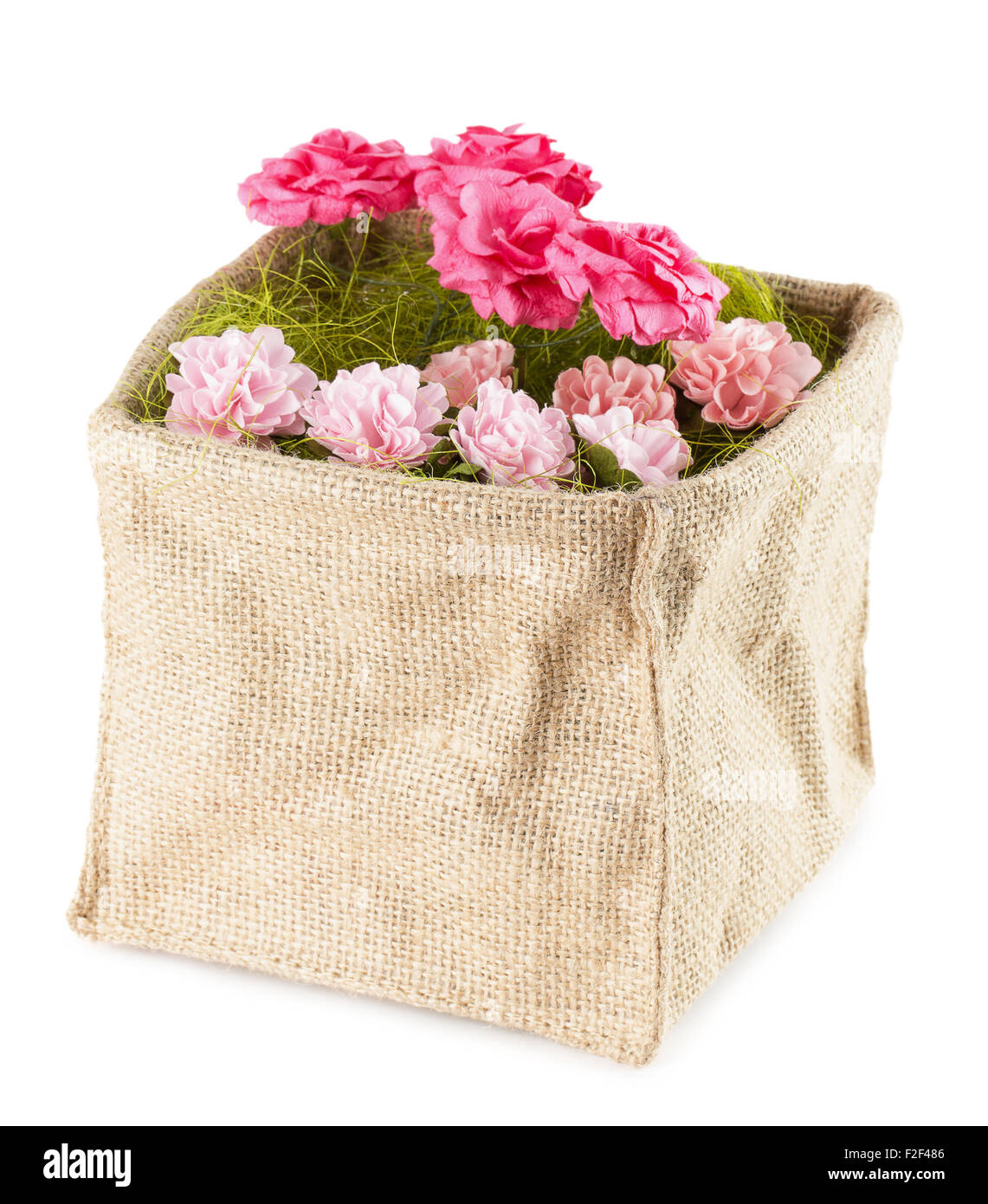 Fleurs roses artificiel isolé sur le fond blanc. Banque D'Images