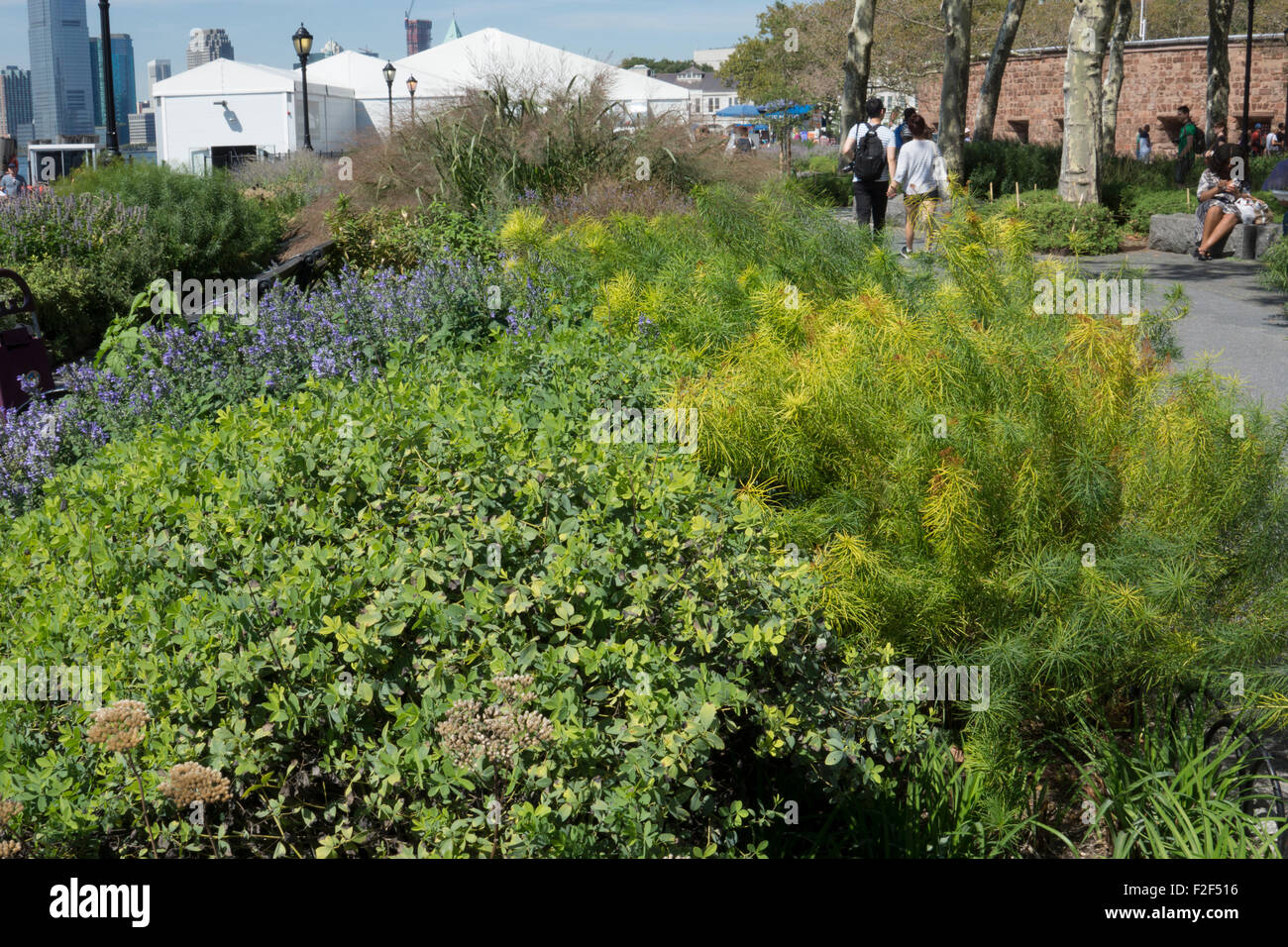 L'aménagement paysager à la batterie, un parc de 25 acres à l'extrémité sud de Manhattan, a été conçu par Piet Oudolf. Banque D'Images