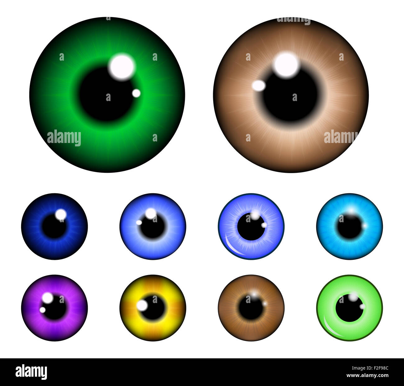 Ensemble de pupille de l'oeil, l'iris, eye ball eye. Vector illustration réaliste isolé sur fond blanc. Banque D'Images