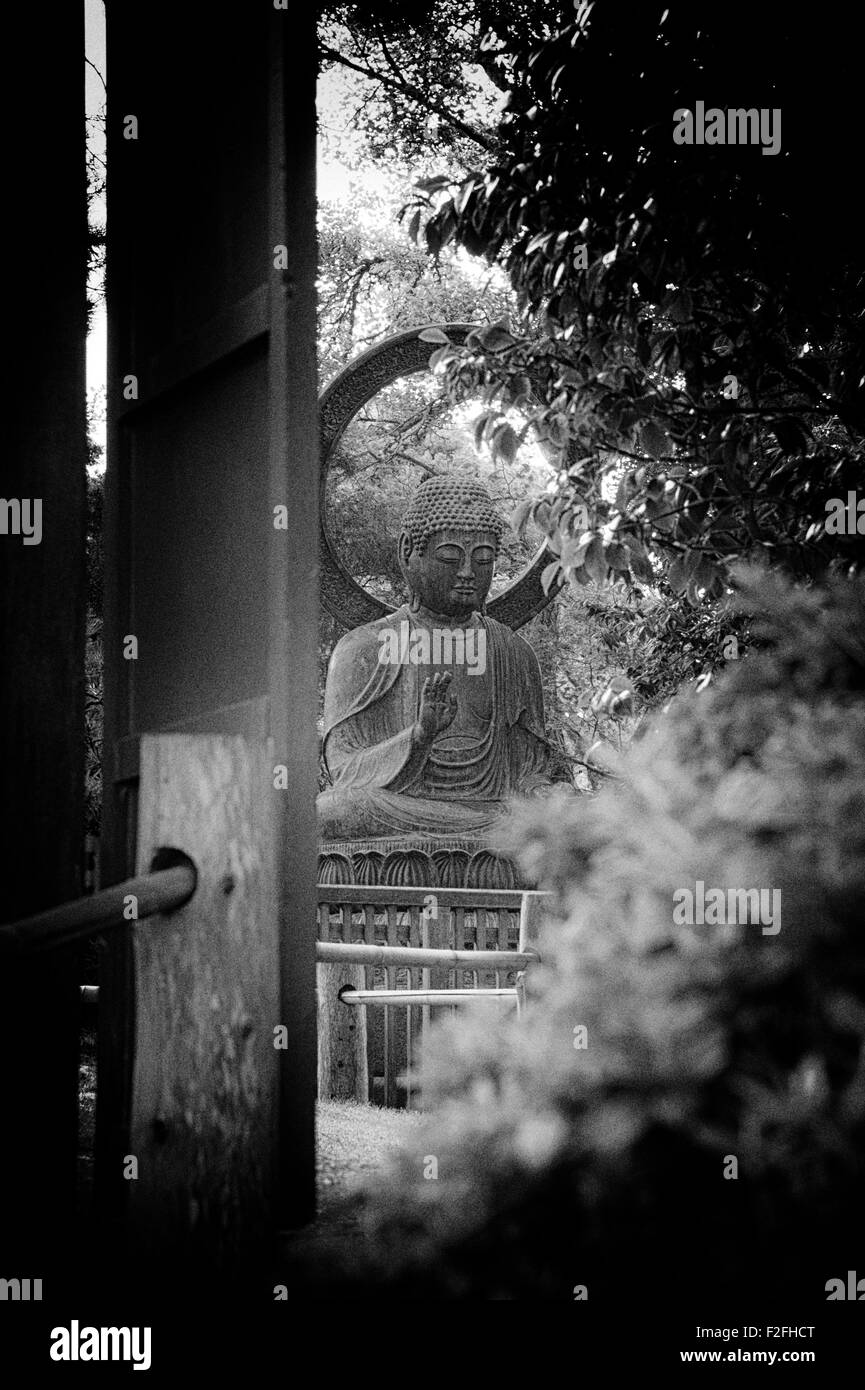 Statue de Bouddha au Japanese Tea Garden, San Francisco, California, USA Banque D'Images