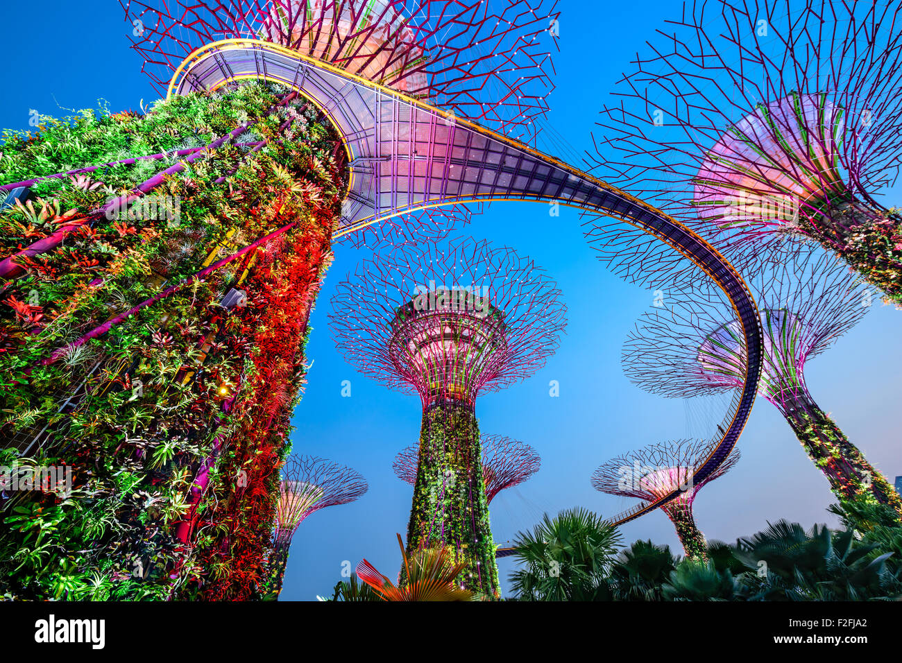 Jardins à Singapour par la baie. Banque D'Images