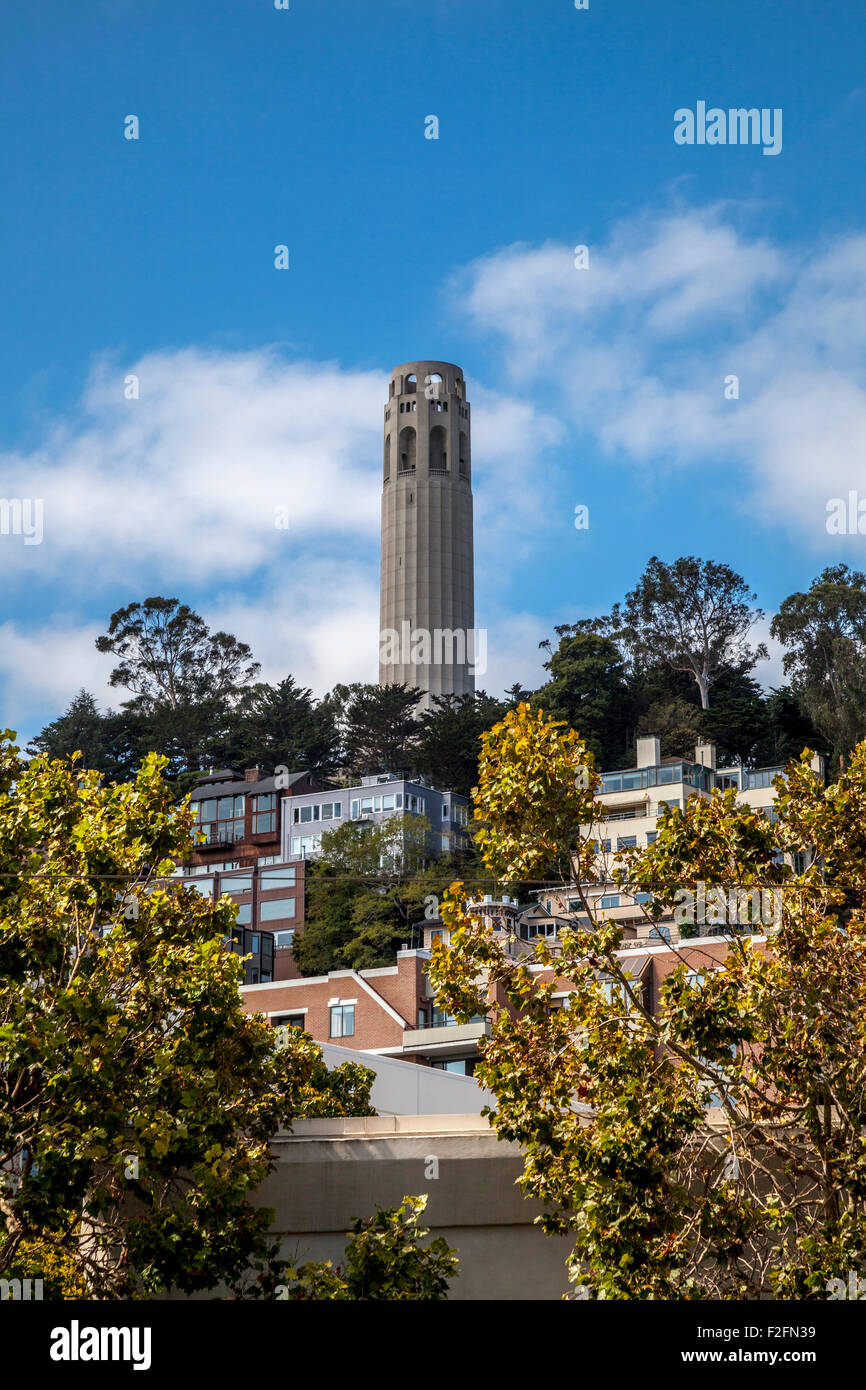 La Coit Tower, San Francisco, California, USA Banque D'Images