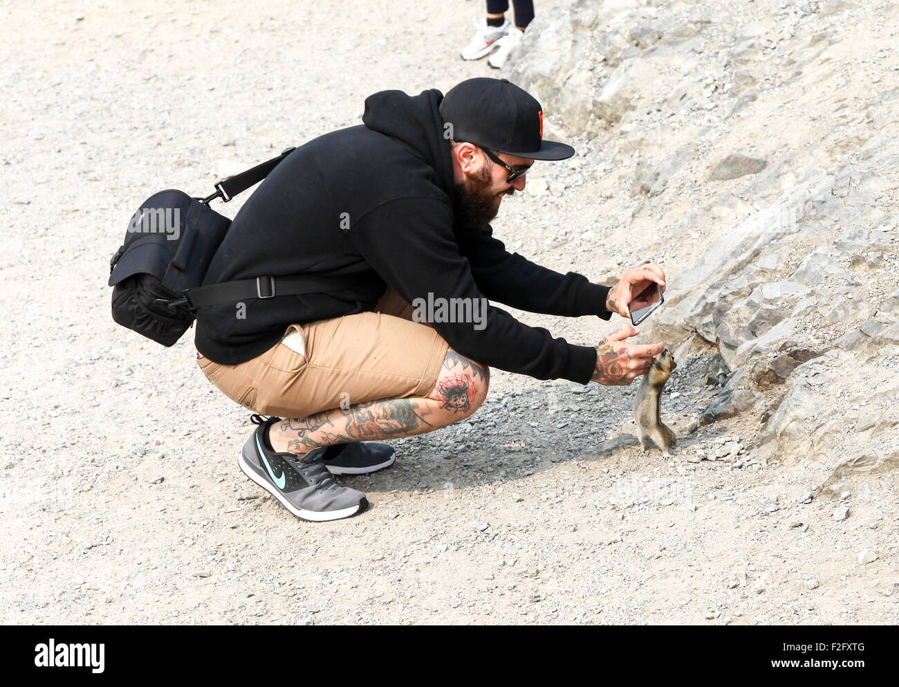 Un homme homme'prendre une photo d'un spermophile ou chipmunk avec son téléphone Banque D'Images