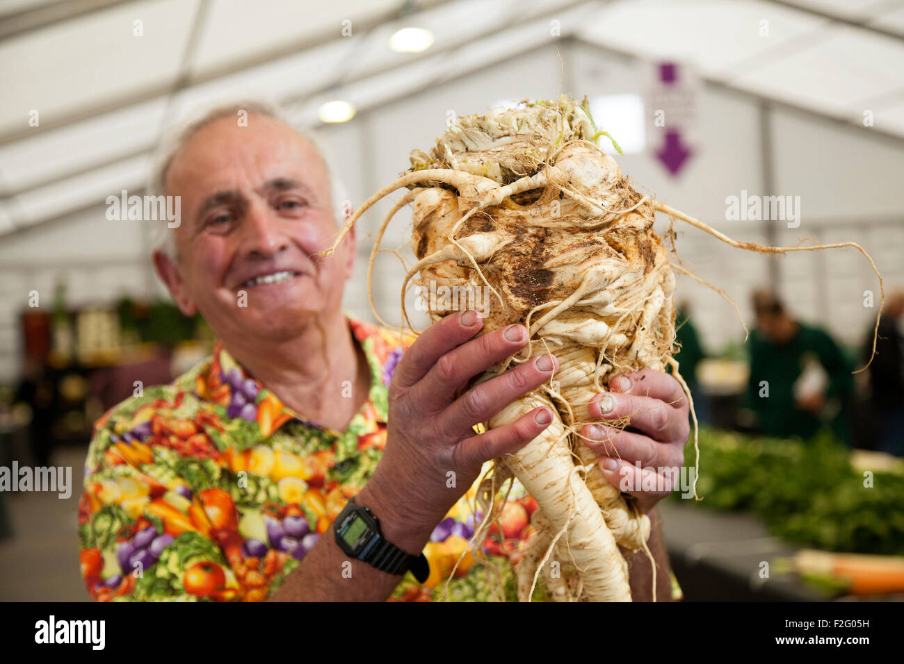 Harrogate, Yorkshire, UK. 18 Septembre, 2015. Détenteur du record du monde Ian Neale avec son 1er prix gagner plus gros panais (5,455 Kg) à la 40e annuel Harrogate Automne Flower Show, Yorkshire Showground, classé au top des trois événements de jardinage. Ian est l'actuel détenteur du record du monde de légumes géant dans la betterave, rutabaga, céleri et long concombre catégories. Credit : Cernan Elias/Alamy Live News Banque D'Images