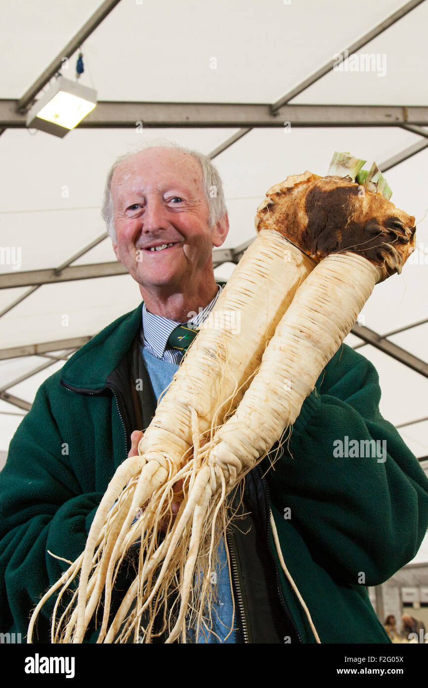 Harrogate, Yorkshire, UK. 18 Septembre, 2015. Détenteur du record du monde Ian Neale avec son 1er prix gagner plus gros panais (5,455 Kg) à la 40e annuel Harrogate Automne Flower Show, Yorkshire Showground, classé au top des trois événements de jardinage. Ian est l'actuel détenteur du record du monde de légumes géant dans la betterave, rutabaga, céleri et long concombre catégories. Ce monstre ne pèse 14,4kg un énorme. Credit : Cernan Elias/Alamy Live News Banque D'Images