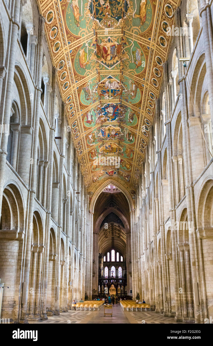 Nef de cathédrale d'Ely, Ely, Cambridgeshire, Angleterre, RU Banque D'Images