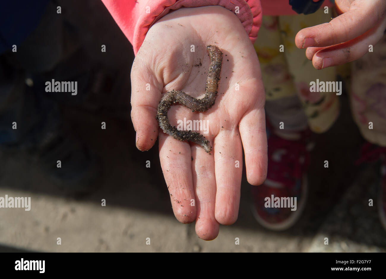 16.04.2015, Berlin, Berlin, Allemagne - Les enfants de la main avec le ver de terre. 0CE150416D001CAROEX.JPG - pas à vendre dans la région de G E R M A N Y, un Banque D'Images