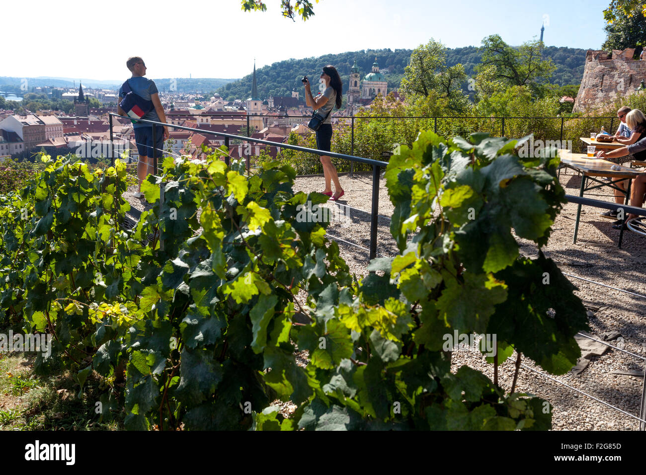 Le versant sud du château de Prague, plantées de vignes, Prague, République Tchèque, Europe Banque D'Images