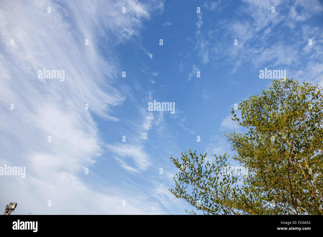 Plan des nuages dans le ciel Banque D'Images