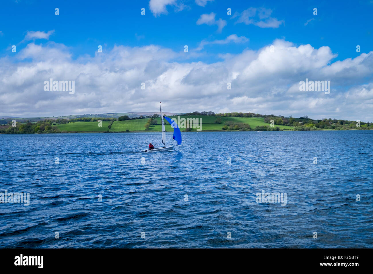 Réservoir d'Llandegfedd Coed y Paen Pontypool Monmouthshire au Pays de Galles Banque D'Images