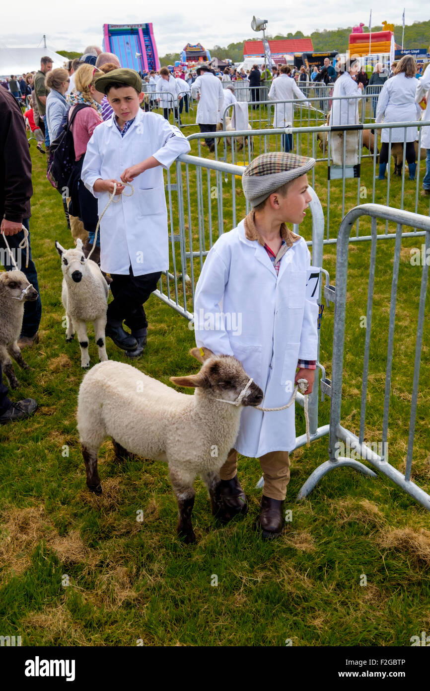 Les jeunes garçons en attente de voir leur animal de compagnie des agneaux à l'Agriculture et de Somerset du Nord Banque D'Images