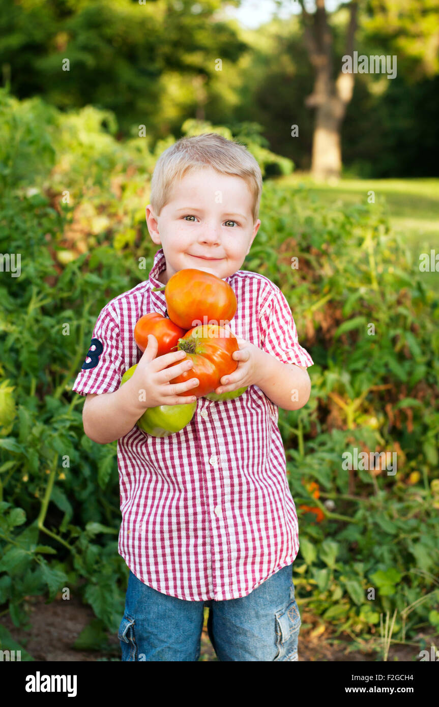 Boy holding homegrown tomatoes Banque D'Images