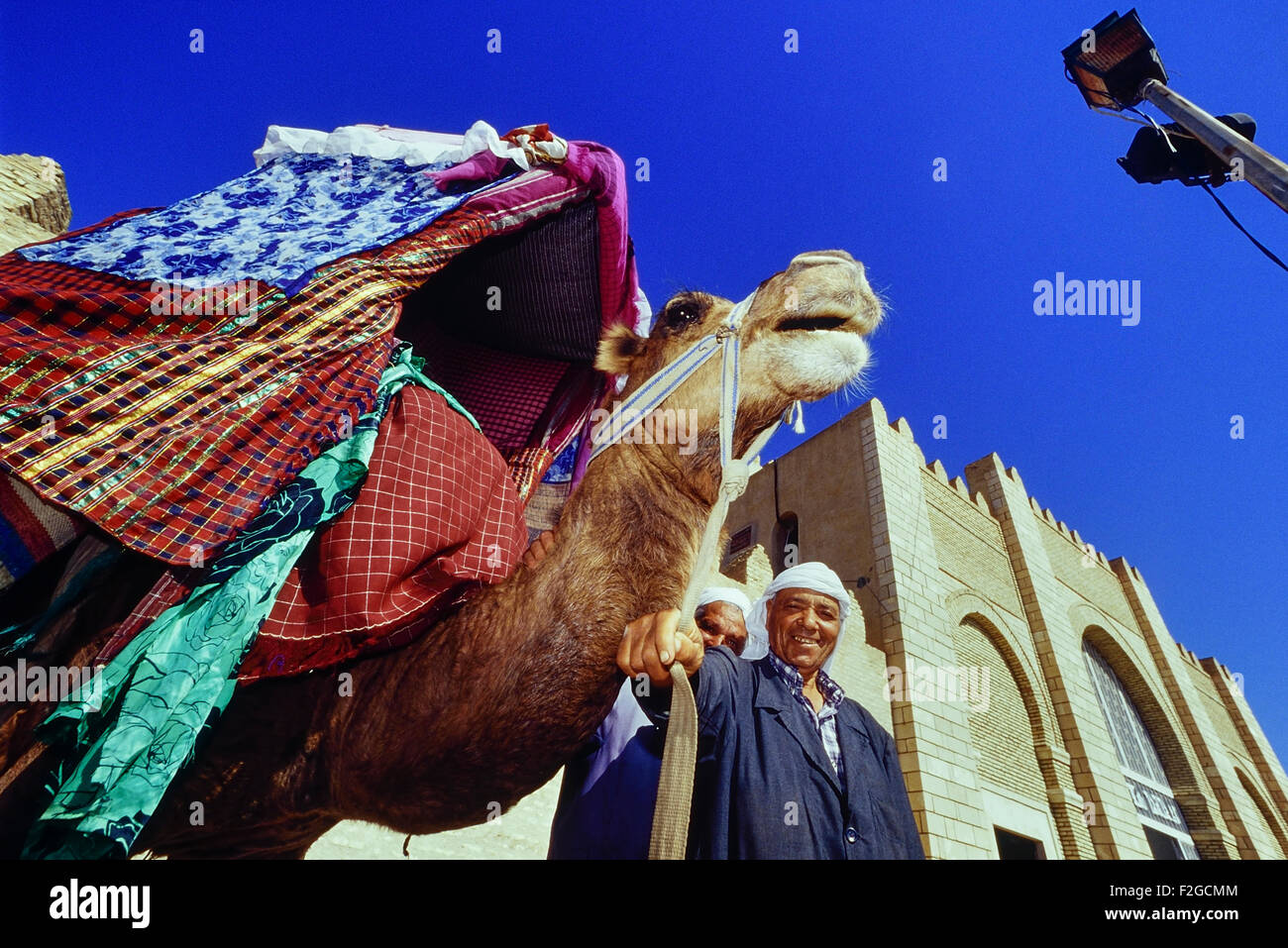 Gestionnaire d'un chameau à l'extérieur de la grande mosquée de Kairouan. La Tunisie. L'Afrique du Nord Banque D'Images