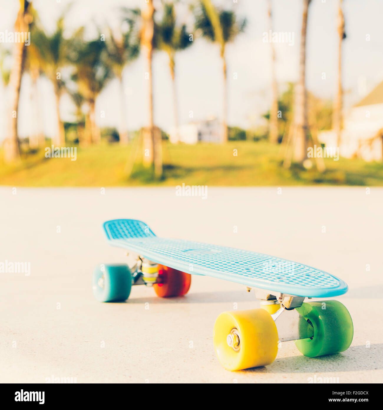 Shortboard blue penny avec roues multicolores se dresse sur la voie près de l'palmiers Banque D'Images