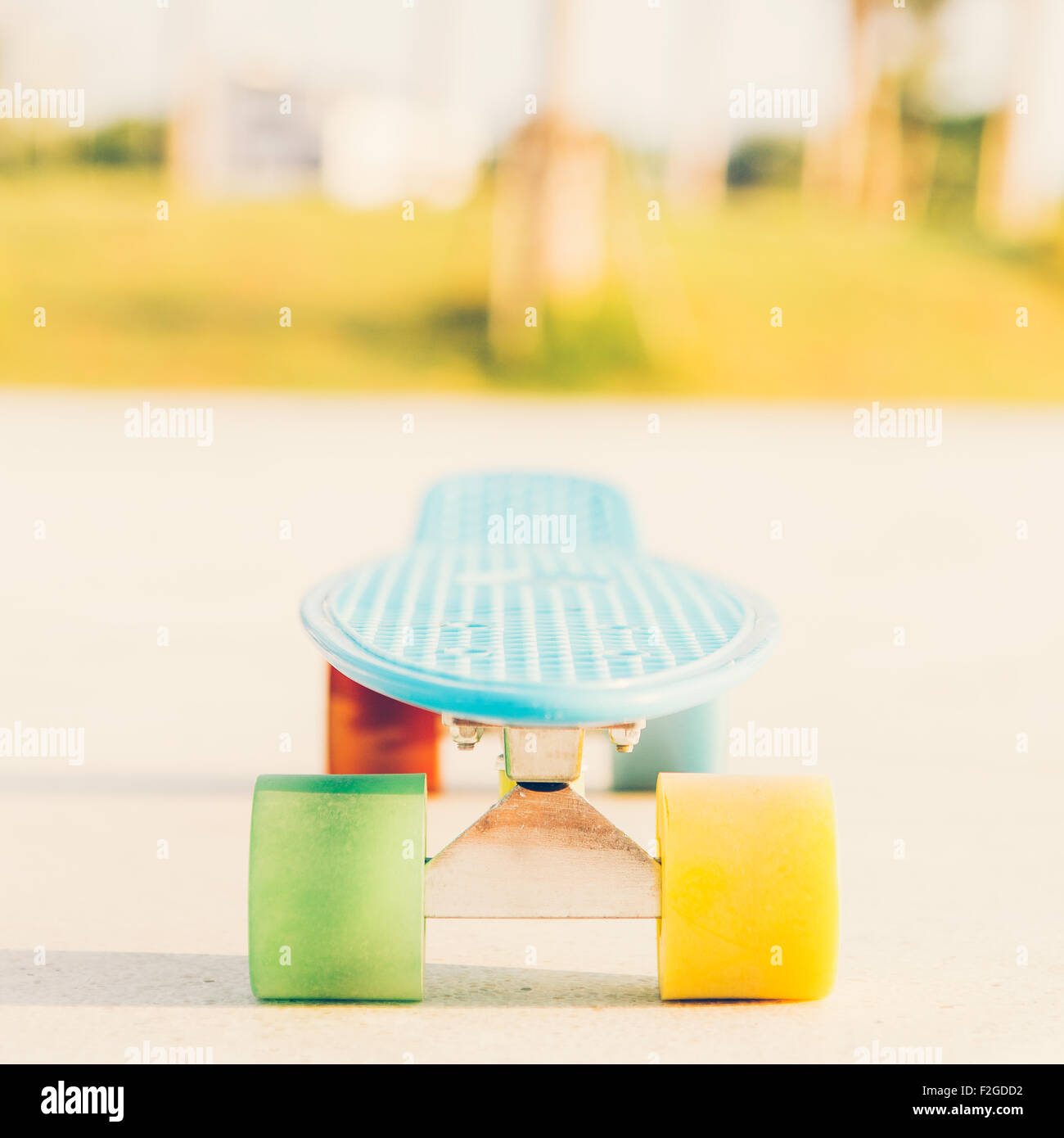 Shortboard blue penny avec roues multicolores se dresse sur la voie près de l'palmiers Banque D'Images