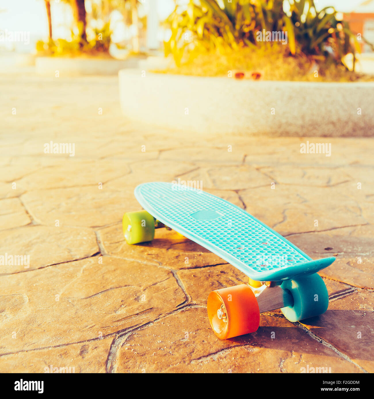 Conseil blue penny avec roues multicolores se dresse sur la voie devant les palmiers. Vue arrière Banque D'Images