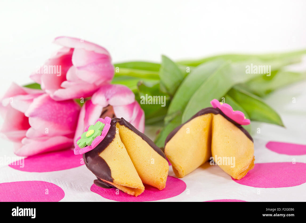 Fortune cookie au chocolat avec des tulipes roses sur papier à pois. Banque D'Images