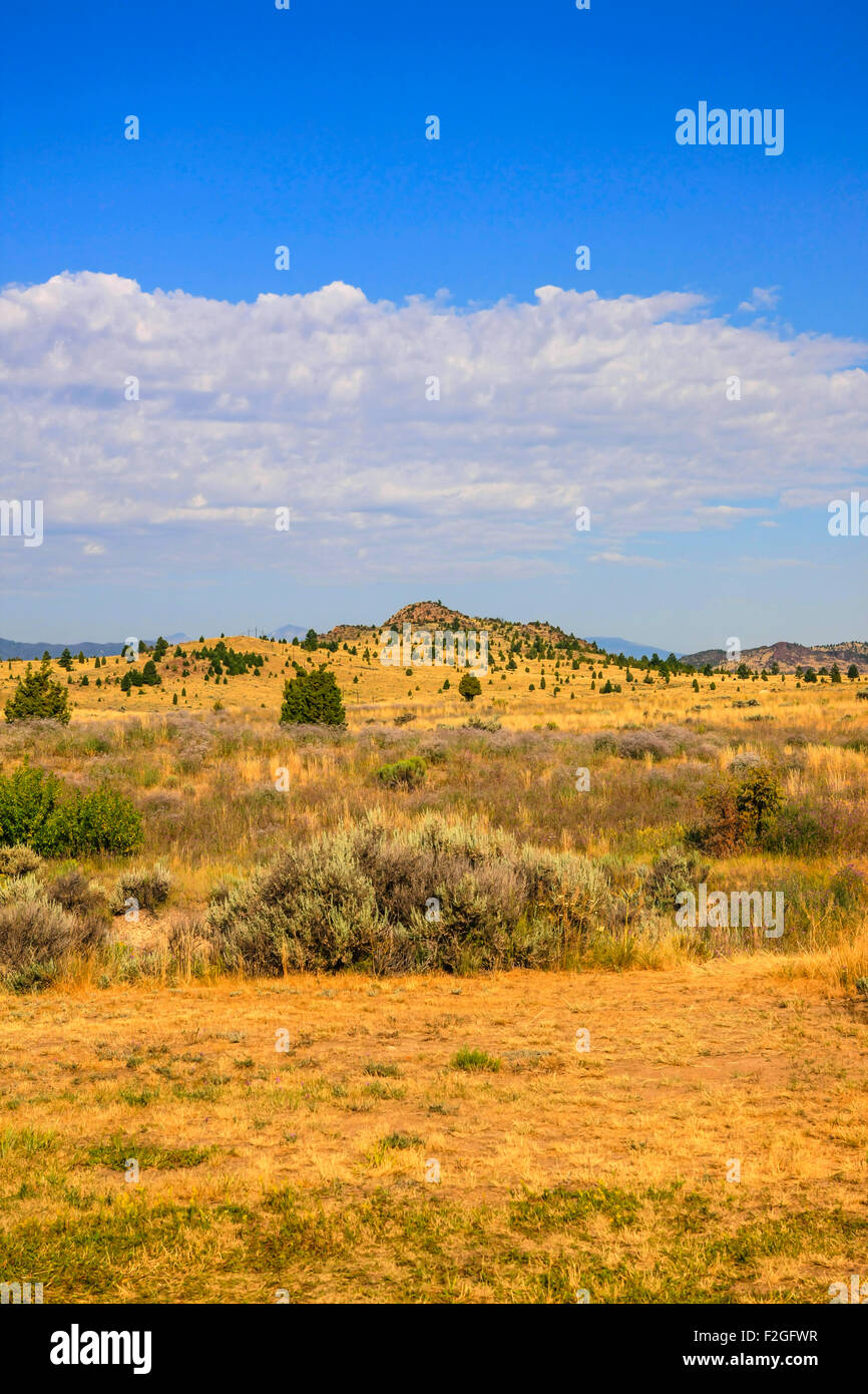 Les plaines d'armoise du Montana, l'État surnommé 'Big Sky Country' pour une raison.... Banque D'Images