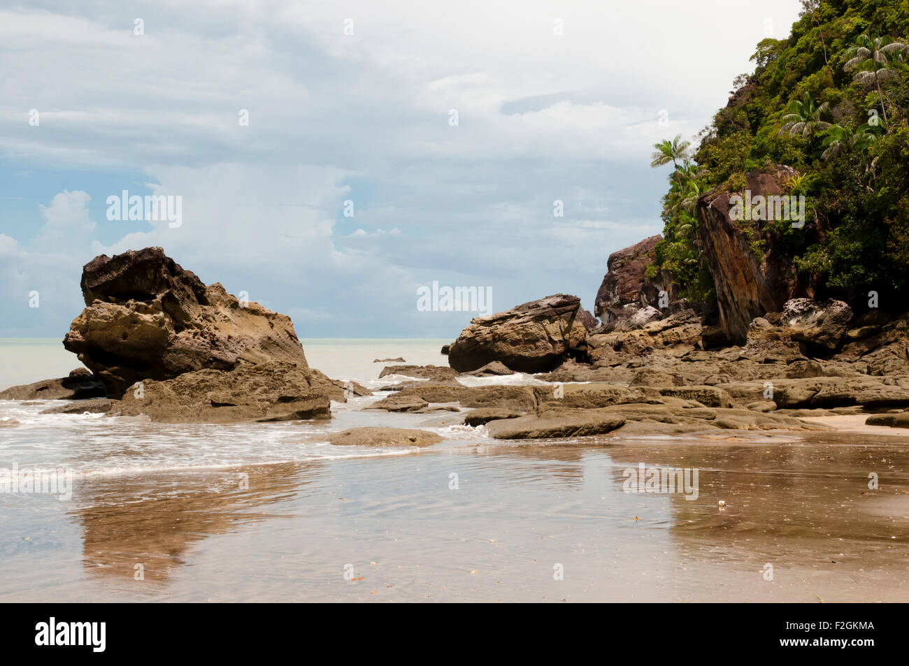Parc national de Bako - Bornéo - Malaisie Banque D'Images