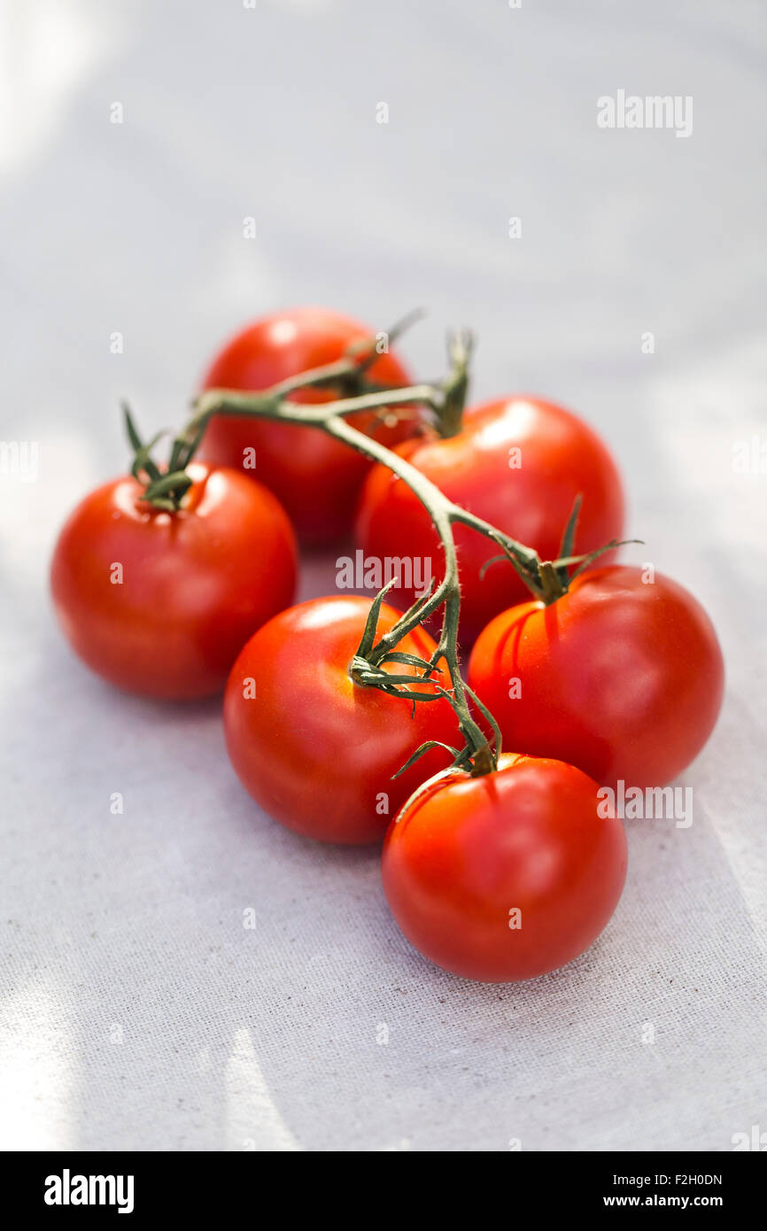 Vine-tomates rip s'affichent sur une table de pique-nique en plein air. Banque D'Images