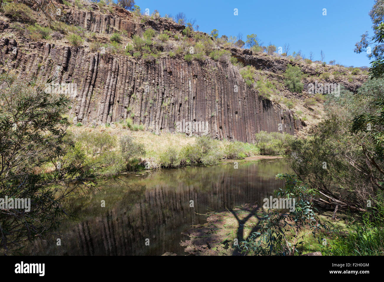 Tuyaux d'orgue rock formation au national park, en Australie. Banque D'Images