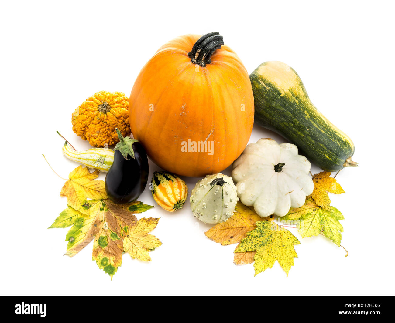Composition de potiron, courgette, courgettes,mort et feuilles d'érable sur fond blanc Banque D'Images Composition de potiron, courgette, courgettes,mort et feuilles d'érable sur fond blanc Banque D'Images