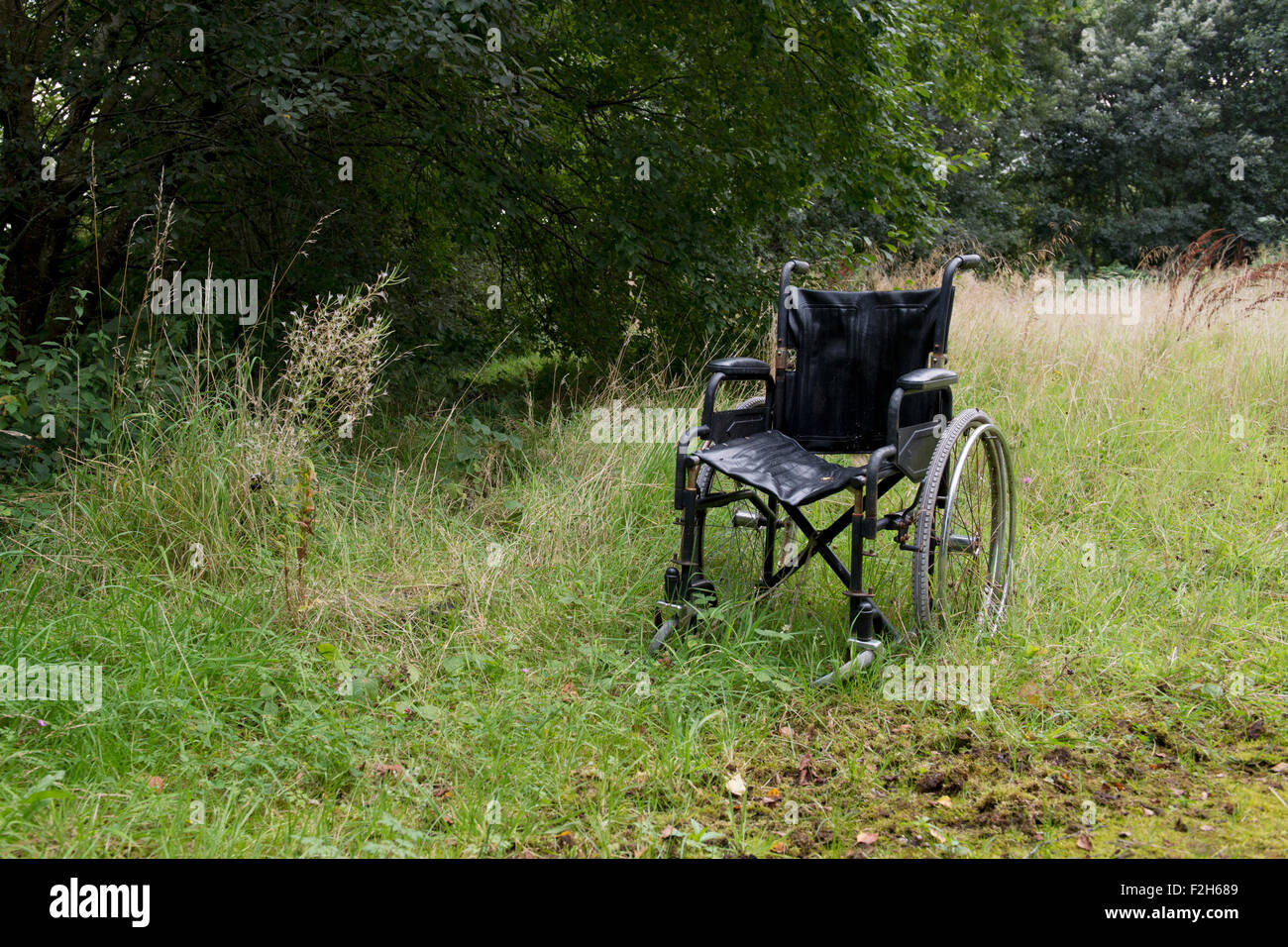 Un fauteuil roulant se trouve abandonné dans un champ envahi. Banque D'Images