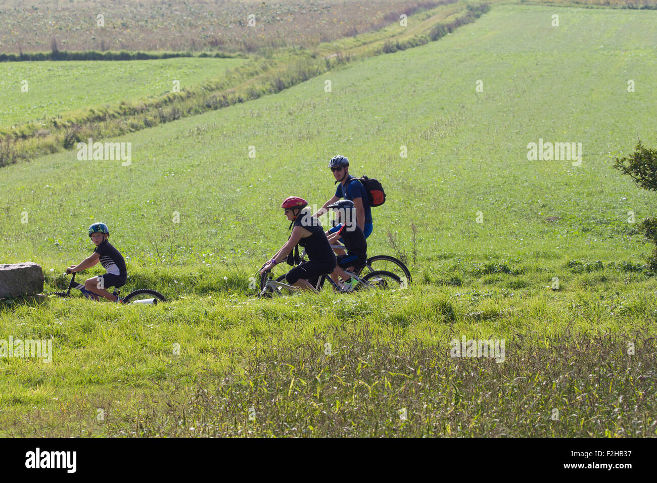 Jersey green lanes Banque de photographies et d’images à haute
