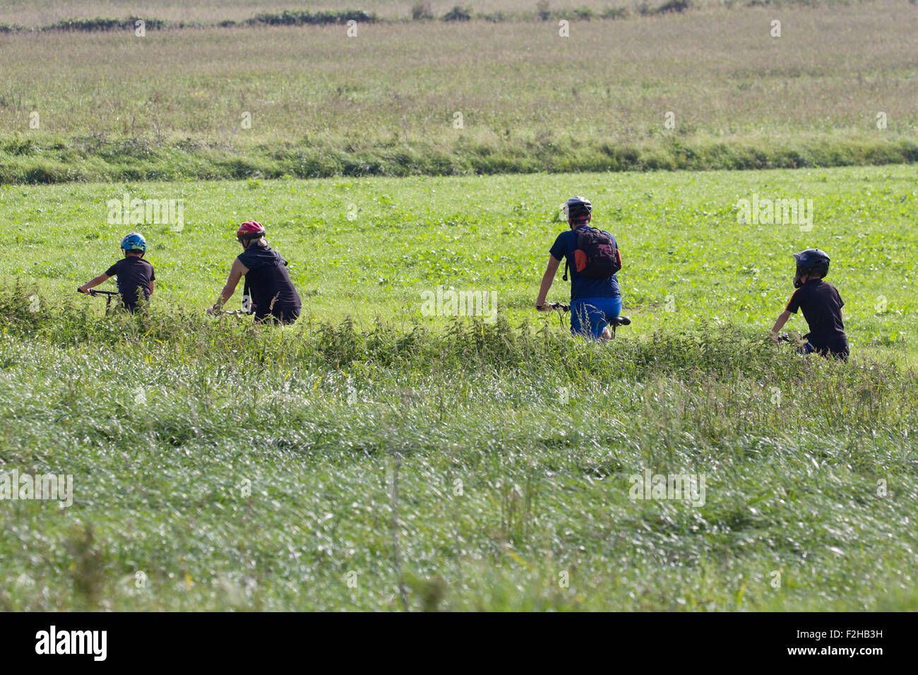 Jersey green lanes Banque de photographies et d’images à haute