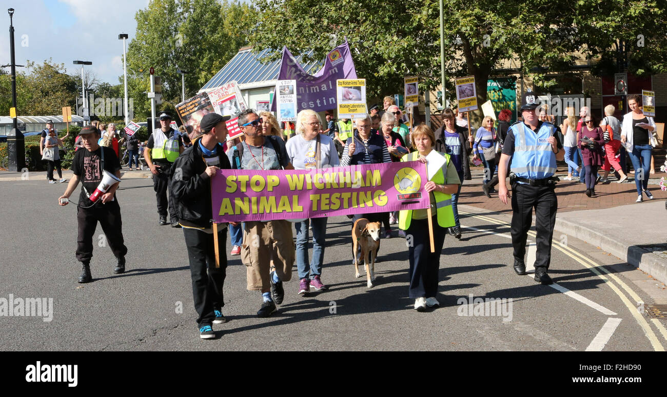 Gosport, Hampshire Samedi 19 septembre 2015 des militants en colère ont défilé sur Gosport cet après-midi. Le groupe de 40 personnes ont organisé une manifestation en ville au cours de l'expérimentation animale Laboratoires Wickham entreprise ayant déménagé dans la ville. Wickham Stop Animal Testing s'oppose à l'utilisation des animaux sur le site de Barwell Lane. Des manifestants en colère s'est arrêté à l'extérieur de la British Heart Foundation shop. Entouré par des agents de police. Un protestataire taire un porte-voix ' honte sur vous pour l'essai de la BHF permettant d'effectuer vous avez du sang sur les mains. Honte sur vous. Credit : uknip/Alamy Live News Banque D'Images
