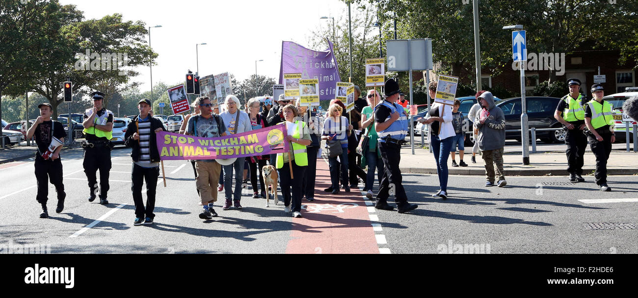 Gosport, Hampshire Samedi 19 septembre 2015 des militants en colère ont défilé sur Gosport cet après-midi. Le groupe de 40 personnes ont organisé une manifestation en ville au cours de l'expérimentation animale Laboratoires Wickham entreprise ayant déménagé dans la ville. Wickham Stop Animal Testing s'oppose à l'utilisation des animaux sur le site de Barwell Lane. Des manifestants en colère s'est arrêté à l'extérieur de la British Heart Foundation shop. Entouré par des agents de police. Un protestataire taire un porte-voix ' honte sur vous pour l'essai de la BHF permettant d'effectuer vous avez du sang sur les mains. Honte sur vous. Credit : uknip/Alamy Live News Banque D'Images