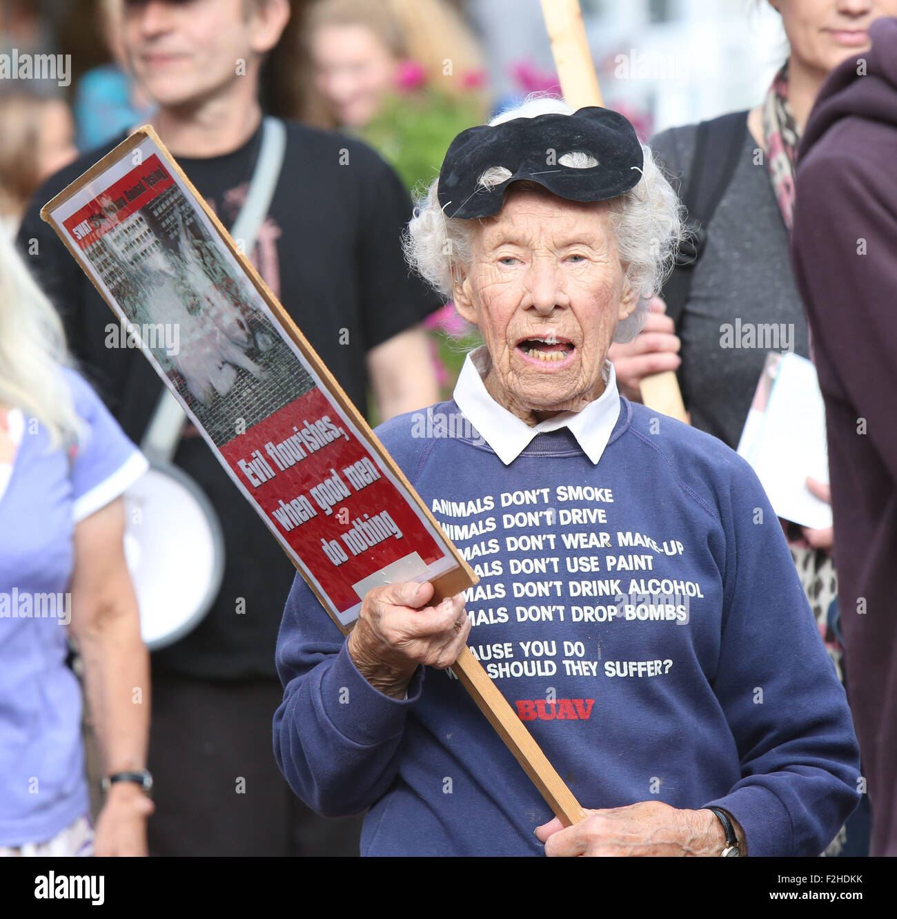 Gosport, Hampshire Samedi 19 septembre 2015 des militants en colère ont défilé sur Gosport cet après-midi. Le groupe de 40 personnes ont organisé une manifestation en ville au cours de l'expérimentation animale Laboratoires Wickham entreprise ayant déménagé dans la ville. Wickham Stop Animal Testing s'oppose à l'utilisation des animaux sur le site de Barwell Lane. Des manifestants en colère s'est arrêté à l'extérieur de la British Heart Foundation shop. Entouré par des agents de police. Un protestataire taire un porte-voix ' honte sur vous pour l'essai de la BHF permettant d'effectuer vous avez du sang sur les mains. Honte sur vous. Credit : uknip/Alamy Live News Banque D'Images