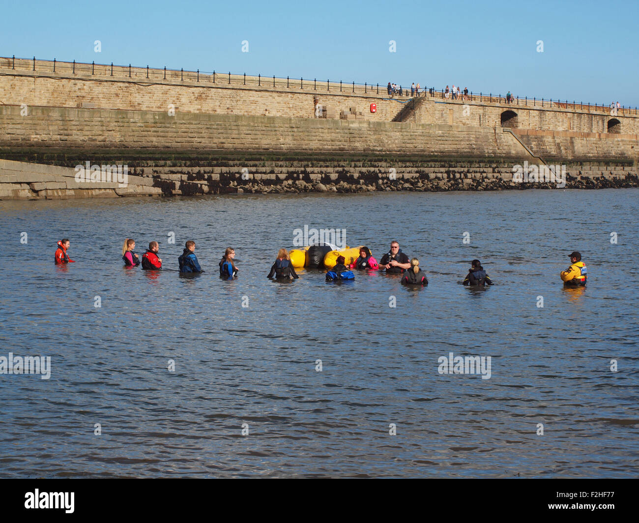 La vie marine rescue charité (B.D.M.L.R) la formation de bénévoles à l'imitation de sauvetage de mammifères marins à Tynemouth Haven. Banque D'Images