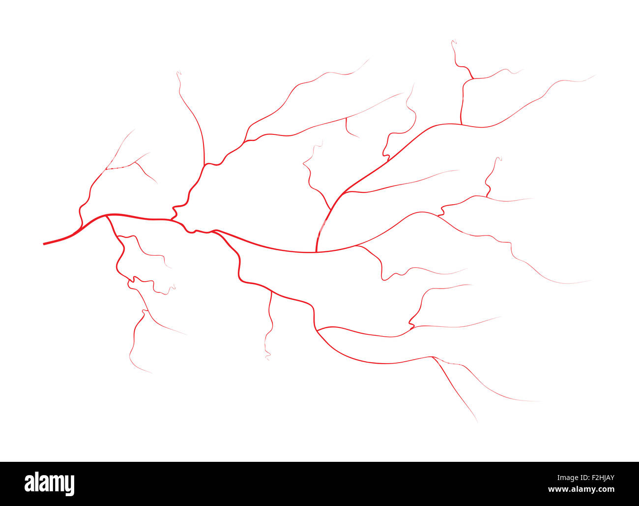 Définir des droits de l'oeil rouge veines, vaisseaux sanguins, du système sanguin. Vector illustration isolé sur fond blanc Banque D'Images