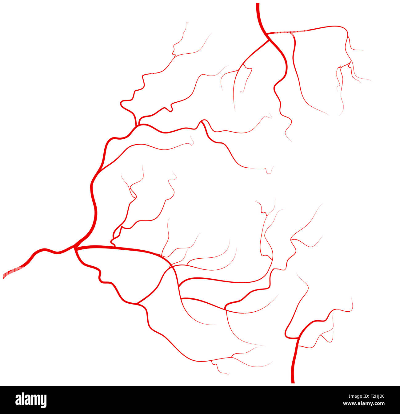 Définir des droits de l'oeil rouge veines, vaisseaux sanguins, du système sanguin. Vector illustration isolé sur fond blanc Banque D'Images