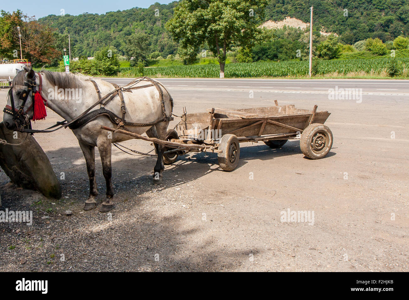 Une bête de profit pour le panier est un transport typique dans le village roumain Banque D'Images